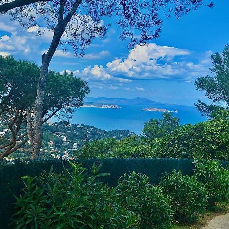 Charming & Peaceful Apartment Begur With Swimming Pool Dış mekan fotoğraf
