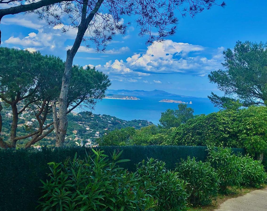 Charming & Peaceful Apartment Begur With Swimming Pool Dış mekan fotoğraf
